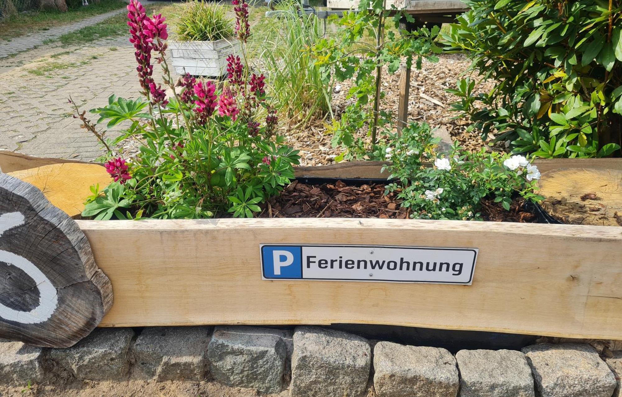 Ferienwohnung Im Winkel Hanstedt Екстер'єр фото
